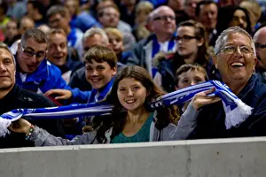 Sheffield Wednesday - 14-09-2012 Prints: Brighton & Hove Albion: The Electric Amex Stadium Crowd (2012-2013)