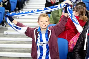 Bolton Wanderers - 24-11-2012 Prints: Brighton & Hove Albion: The Electric Amex Stadium Crowd (2012-2013)