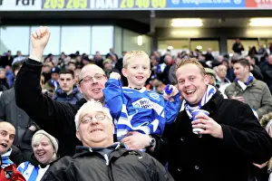 Brighton and Hove Albion: The Electric Amex Stadium Crowd (2012-2013)