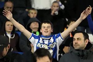 Bristol City - 27-11-2012 Prints: Brighton & Hove Albion: The Electric Amex Stadium Crowd (2012-2013)