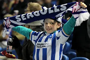 Bristol City - 27-11-2012 Prints: Brighton and Hove Albion: The Electric Amex Stadium Crowd (2012-2013)