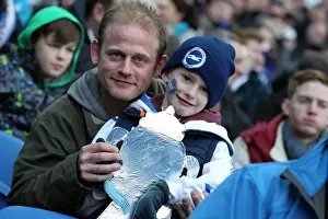 Brighton and Hove Albion: The Electric Amex Stadium Crowd (2012-2013)