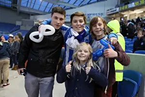 Hull City - 09-02-2013 Prints: Brighton & Hove Albion: The Electric Amex Stadium Crowd (2012-2013)