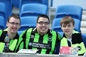 Brighton & Hove Albion: The Electric Amex Stadium Crowd (2012-2013)