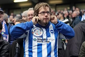 Images Dated 1st February 2001: Brighton & Hove Albion: Electric Atmosphere - The Amex Stadium Crowd Shots (2012-2013)