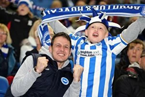 Images Dated 18th December 2012: Brighton & Hove Albion: Electric Atmosphere - Unforgettable Crowd Moments at The Amex (2012-2013)