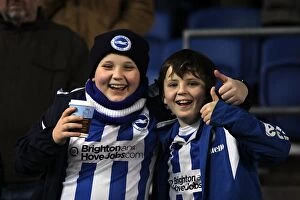 Images Dated 27th May 2001: Brighton & Hove Albion: Electric Atmosphere - The Amex Stadium Crowd Shots (2012-2013)
