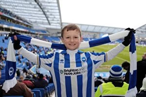 Images Dated 2nd March 2013: Brighton & Hove Albion: Electric Atmosphere - Unforgettable Crowd Moments at The Amex (2012-2013)