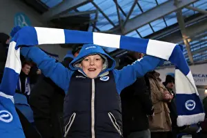 Brighton & Hove Albion: Electric Atmosphere at The Amex (2012-2013)