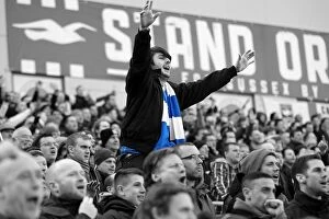 Images Dated 19th July 2001: Brighton & Hove Albion: Electric Atmosphere at The Amex (2012-2013) - Unforgettable Crowd Moments