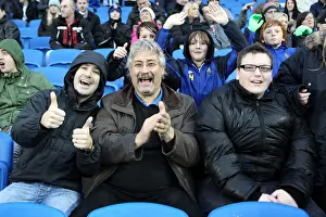 Bolton Wanderers - 24-11-2012 Prints: Brighton and Hove Albion: The Electric Atmosphere of the Amex Stadium Crowd (2012-2013)