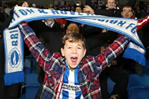 Brighton & Hove Albion: Electric Atmosphere - The Amex Stadium Crowd Shots (2012-2013)