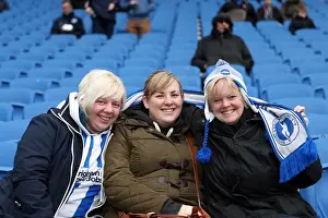 Huddersfield Town - 02-03-2013 Prints: Brighton & Hove Albion: Electric Atmosphere - The Amex Stadium Crowd Shots (2012-2013)