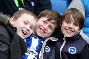 Images Dated 14th June 2001: Brighton and Hove Albion: Electric Atmosphere - Crowd Shots from The Amex Stadium (2012-2013)