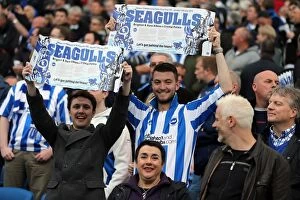 Images Dated 13th May 2013: Brighton and Hove Albion: Electric Atmosphere - Crowd Shots at The Amex Stadium (2012-2013)