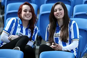 Brighton and Hove Albion: Electric Atmosphere - Crowd Shots from The Amex Stadium (2012-2013)
