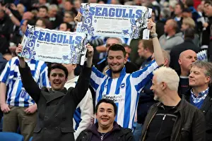 Crowd Shots At The Amex 2012-13 Prints: Brighton and Hove Albion: Electric Atmosphere - Crowd Shots at The Amex Stadium (2012-2013)