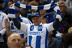 Crowd Shots At The Amex - 2013-14 Prints: Brighton & Hove Albion: Electric Atmosphere - Fans in Full Force at the Amex Stadium (2013-14 Season)