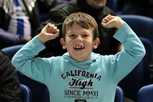 Bristol City - 27-11-2012 Prints: Brighton and Hove Albion: Electrifying Amex Stadium Crowds (2012-2013)