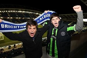 Leeds United - 02-11-2012 Collection: Brighton & Hove Albion: Electrifying Crowds at the Amex (2012-2013)