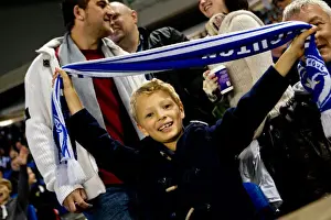 Brighton and Hove Albion: Electrifying Fan Experience at The Amex Stadium (2012-2013)
