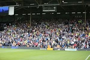 Images Dated 15th August 2015: Brighton and Hove Albion: Euphoric Fans Celebrate Championship Victory at Craven Cottage