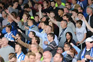 Brighton and Hove Albion: Euphoric Fans Celebrate Championship Victory at Craven Cottage (15 Aug 2015)