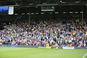 Brighton and Hove Albion: Euphoric Fans Celebrate Championship Victory at Craven Cottage (15 Aug 2015)