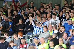 Brighton and Hove Albion: Euphoric Fans Celebrate Championship Victory at Craven Cottage (15th August 2015)