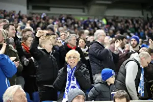 Brighton and Hove Albion FA Cup Clash: Seafront Fans Unite against Arsenal (25Jan15)