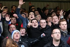 Images Dated 3rd January 2015: Brighton and Hove Albion FA Cup Fans at Griffin Park (2015)
