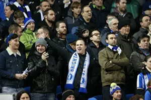Arsenal 25JAN15 Prints: Brighton and Hove Albion FA Cup Showdown vs Arsenal: Sea of Passionate Fans (25Jan15)