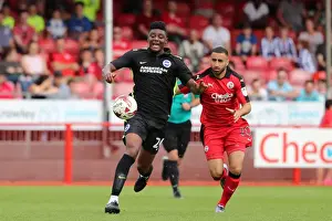 Brighton and Hove Albion Face Crawley Town in Pre-Season Friendly at Checkatrade Stadium (16th July 2016)