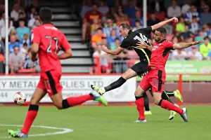 Crawley Town 16JUL16 Prints: Brighton and Hove Albion Face Crawley Town in Pre-Season Friendly at Checkatrade Stadium (16th July 2016)