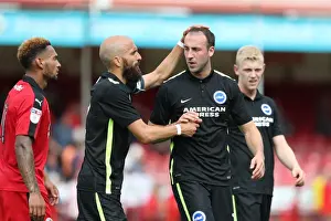 Brighton and Hove Albion Face Crawley Town in Pre-Season Friendly at Checkatrade Stadium (16th July 2016)