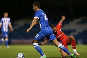 Images Dated 29th July 2015: Brighton and Hove Albion Face Off Against Gillingham in Pre-Season Friendly at Priestfield Stadium