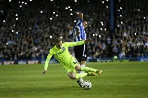 Images Dated 13th May 2016: Brighton and Hove Albion Face Sheffield Wednesday in Championship Play-Off Showdown (May 2016)