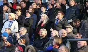 Images Dated 21st March 2015: Brighton and Hove Albion Fans in Action at Blackburn Rovers Championship Match, 21st March 2015