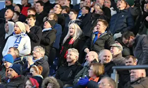 Brighton and Hove Albion Fans in Action at Blackburn Rovers Championship Match, 21st March 2015