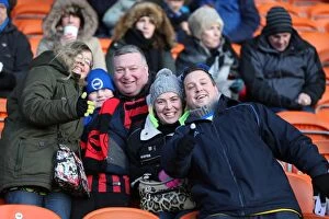 Images Dated 31st January 2015: Brighton and Hove Albion Fans in Action at Bloomfield Road (31Jan15)