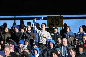 Brighton and Hove Albion Fans in Action at Bloomfield Road (31Jan15)