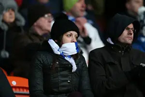 Blackpool 31JAN15 Prints: Brighton and Hove Albion Fans in Action at Bloomfield Road during the Sky Bet Championship Match vs Blackpool (31Jan15)