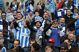 Wigan Athletic 17APR17 Prints: Brighton and Hove Albion Fans in Action during the EFL Sky Bet Championship Match vs