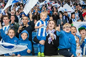 Bristol City 29APR17 Prints: Brighton and Hove Albion Fans in Action during the EFL Sky Bet Championship Match vs