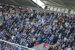 Brighton and Hove Albion Fans in Action at Rotherham United Match, April 2015