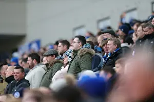 Brighton and Hove Albion Fans in Action: Sky Bet Championship Showdown vs. Wolverhampton Wanderers (14MAR15)