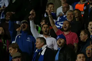 Bournemouth 01NOV14 Prints: Brighton & Hove Albion Fans at American Express Community Stadium during SkyBet Championship Match vs