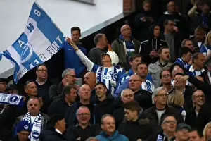 Brighton and Hove Albion Fans at Carrow Road: EFL Sky Bet Championship Showdown (April 2017)