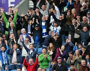 Images Dated 25th October 2014: Brighton & Hove Albion Fans Celebrate at American Express Community Stadium during SkyBet