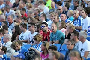 Images Dated 2nd August 2015: Brighton and Hove Albion Fans Celebrate at American Express Community Stadium During Pre-season